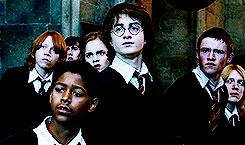 Hp Meme:ten Scenes [7/10]The Champion Selection