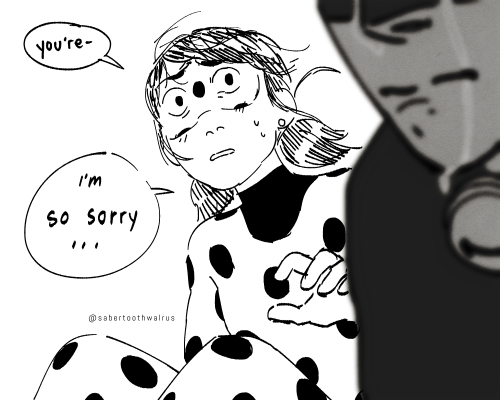 I Uhhhh I Made Another Continuation....