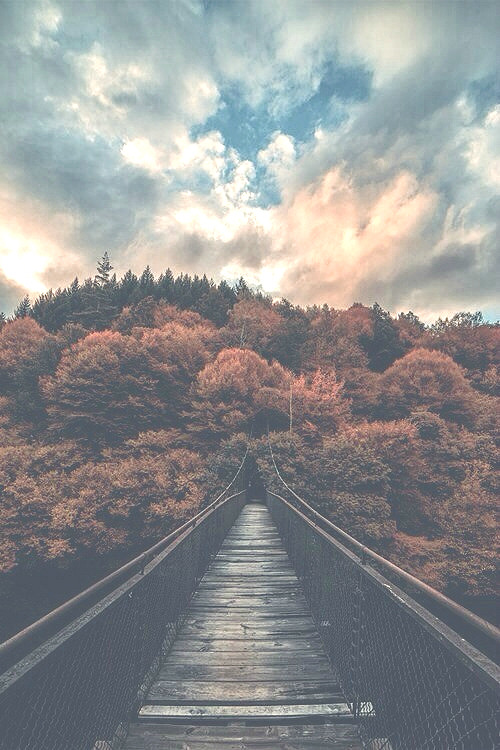 covered-with-mist:  http://covered-with-mist.tumblr.com/ 