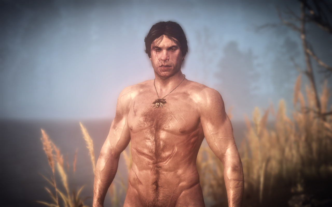 Witcher 3 The Wild Nudity Project