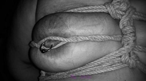 Porn Pics SHIBARI