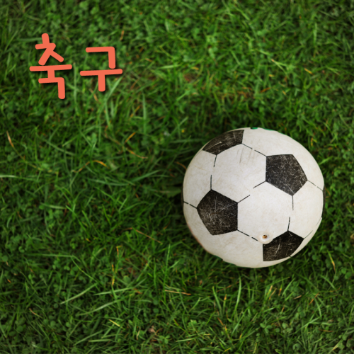 Football / Soccer = 축구 (“chook-goo”)