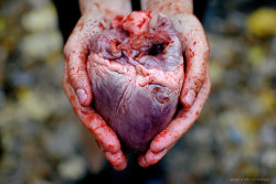 coolcatmatt:  My heart for you.