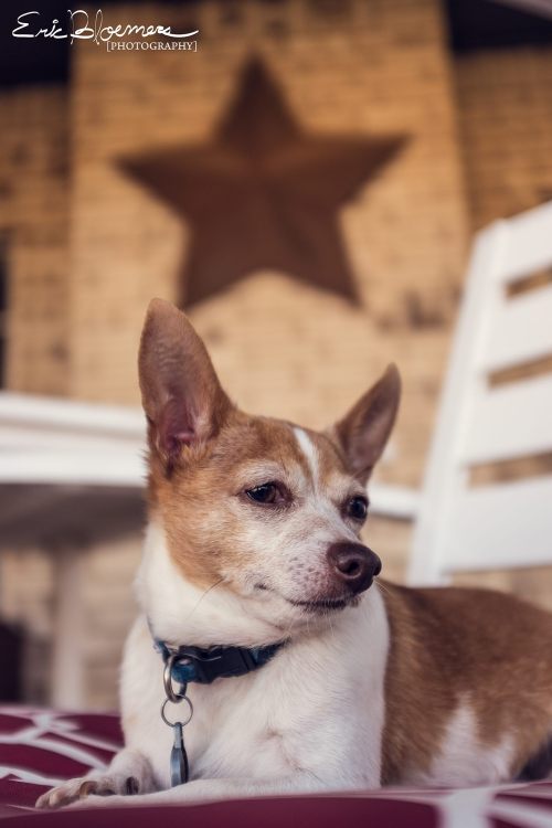 “Esteban on the patio” I just got a new FujiFilm X100S, and this was my first shot from 