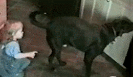annabellehectorworldofweird: