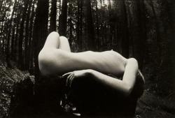 zzzze:  James Fee, (Female Nude in Forest),1970