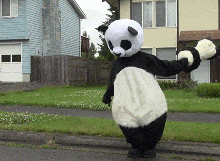Танцующая Панда. Костюм панды. Танцующие панды. Смешной костюм панды.