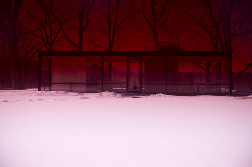 likeafieldmouse:  James Welling - Glass House (2006-9) Artist’s statement:  “When Frank Lloyd Wright visited the Glass House, as Philip Johnson tells it, he was unsure whether he was inside or outside. He said that he didn’t know whether or