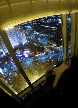 anonfitcouple:  Just dreaming about our next return visit. The Mrs, the strip, the Mrs stripping…its just the most magical place on earth 😁😁   I’ve reblogged this before but she’s hot. From high up in the Palazzo.