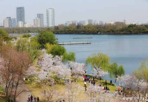 fuckyeahchinesegarden:xuanwuhu, nanjing city, jiangsu province by 星河6712