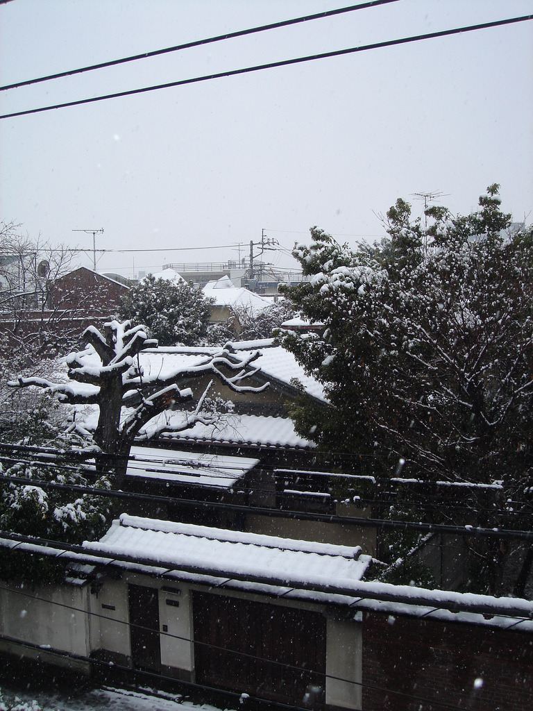 riri-neko:  (Snowkyo! Snowing in Tokyo) 