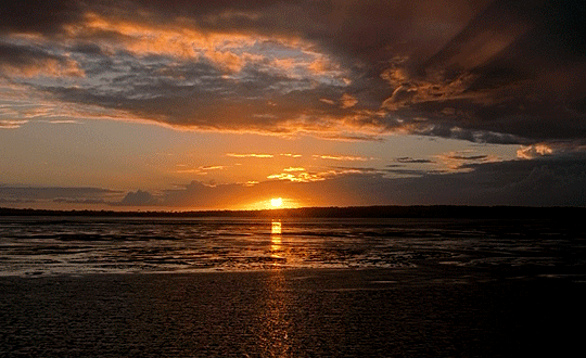 tumblr_pvza3a9iB41qdhps7o1_540.gif