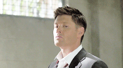 frenchmystake:  Dean + Season 8 