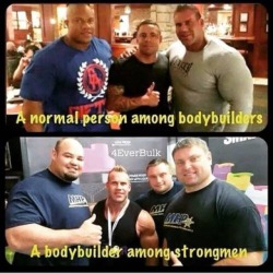memeguy-com:  lol bodybuilders