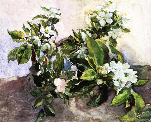 Apple Blossoms, John La Farge