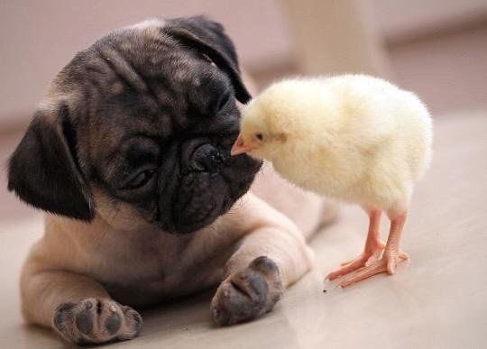 The most beautiful thing you'll see today.