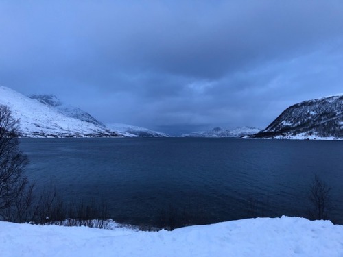 Bleakness on a Fjord, just outside Tromsø