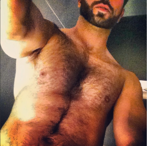 YummyHairyDudes