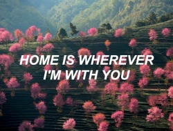 allcapslyhrics:  home // edward sharpe and