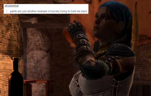 bubonickitten: Dragon Age II + text posts Just wasting time waiting for Inquisition. (ELEVEN DAYS LE