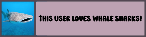Shark Userboxes! (Full Pack)