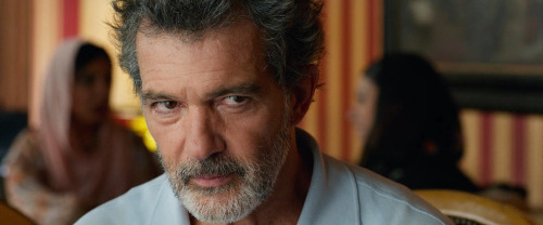 Antonio Banderas as Salvador Mallo / Pain and Glory (2019)Academy Award Nominated as Best Actor