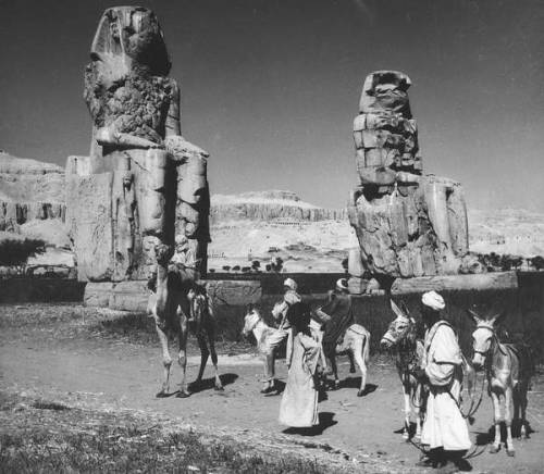 Colossi of Memnon Egyptians with donkeys and camel in front of the Colossi of Memnon, Theban Necropo