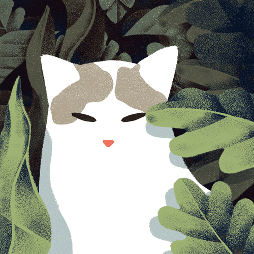 catscenter:#catscenter