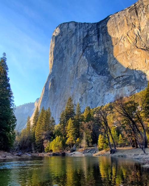 Amazinglybeautifulphotography:  The Golden Light, Yosemite National Park, Ca, Usa
