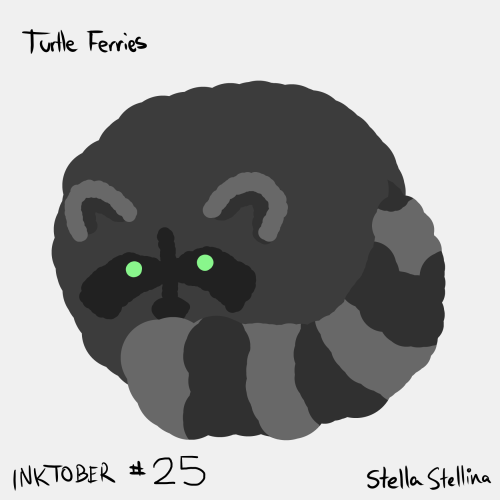 turtleferriesstudio