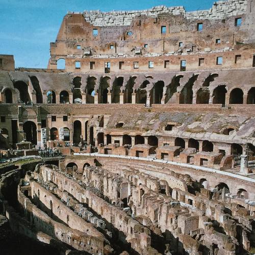 Inside the Colosseum #insidethecolosseum #colosseum #amphitheatre #ancientruins #ancientrome #romane
