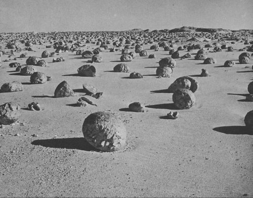 equatorjournal: Tad Nichols, Kharga Oasis, 1974. “Concretions on the rim of the Kharga Oasis depress