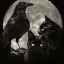 minnamindthemoon25