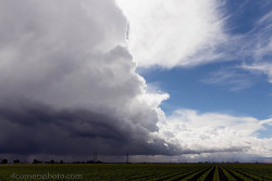 4cornersphoto:  Thunderstorm and Vineyard, San Joaquin County, CA on Flickr.