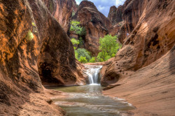 americasgreatoutdoors:  Red Cliffs National Conservation Area in Utah protects a unique transition zone – the meeting of the Colorado Plateau, Great Basin Desert and Mojave Desert. Where these distinct landscapes overlap, unusual plants and animals