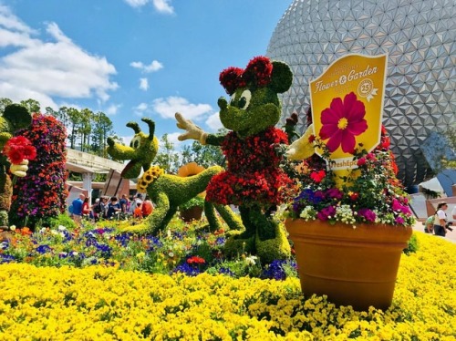 Sad to be missing #flowerandgardenfestival this year! Was so much fun last spring! #wdw #flowerandga