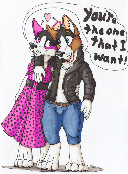 corgiboobs