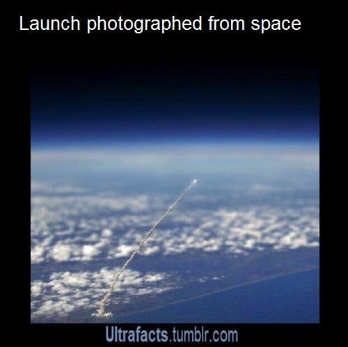 ultrafacts:  For more posts like this, follow Ultrafacts