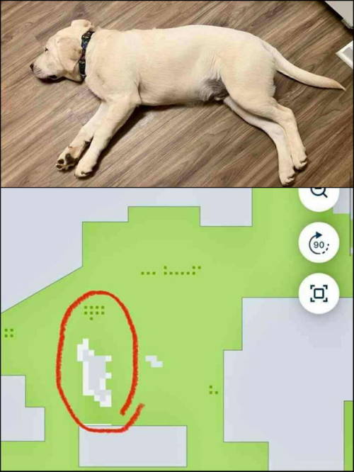 Roomba mapped a lazy obstacle