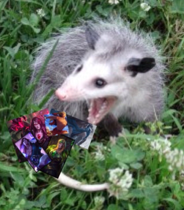 taricvevo:  compilation of my garbage