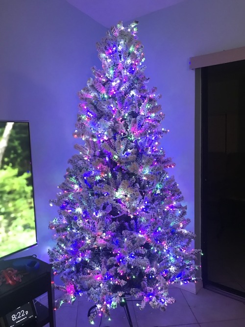 Our new christmas tree 🎄 porn pictures