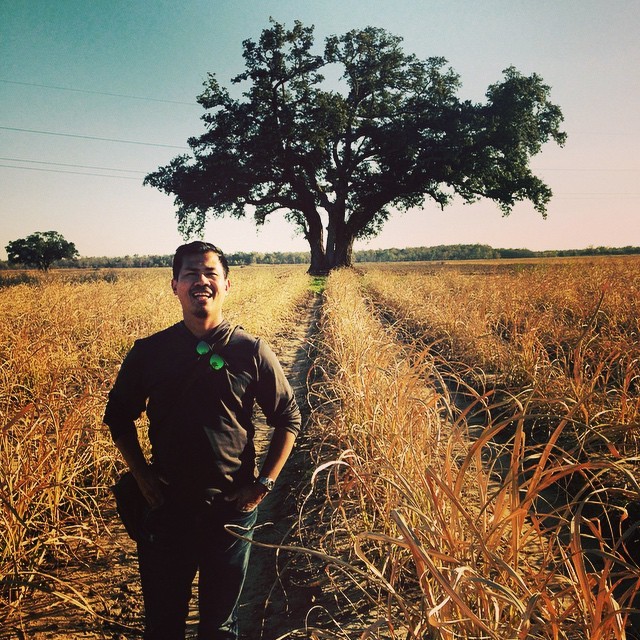 Murder Tree from True Detective. #truedetective - Ron Domingue