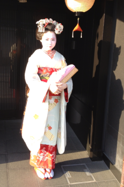 okiya:  July ensemble: Maiko Umechie, Kamishichiken