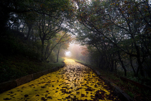 sixpenceeeblog:In 1970, a Wizard of Oz-inspired theme park was opened as a summer attraction in a No