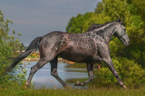 Letting Go Of The Reins