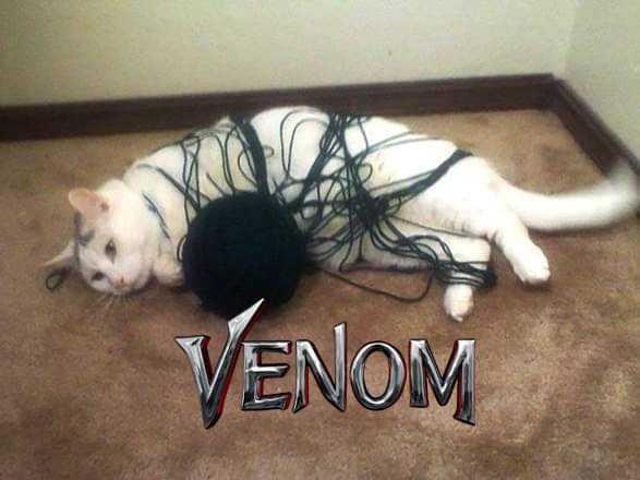 ungratefulninja11:  Found this after watching the movie. I don’t know why I laughed so hard lol 