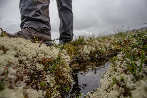 ourwildways:201408 - Norway by Steve Behaeghel on Flickr.