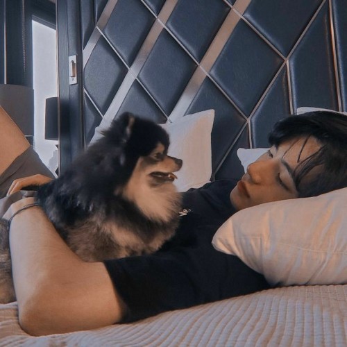 army-in-luv - ARMY In Luv