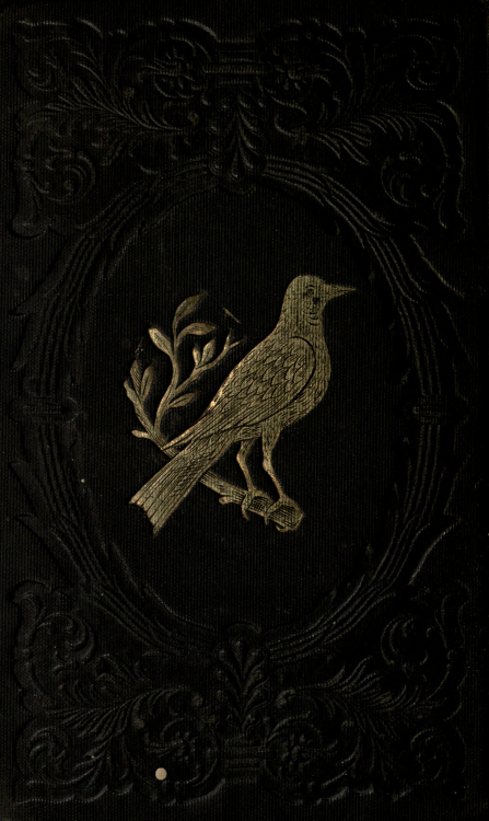 nemfrog:The discontented robins. 1847. Book cover. 