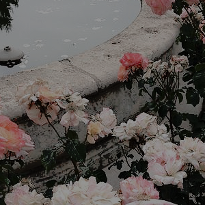taehyunas:  CLASSIC ART MOODBOARDS:  monet’s water lilies